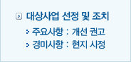 대상사업 선정 및 조치 - 주요사항 : 개선 권고 - 경미사항 : 현지 시정